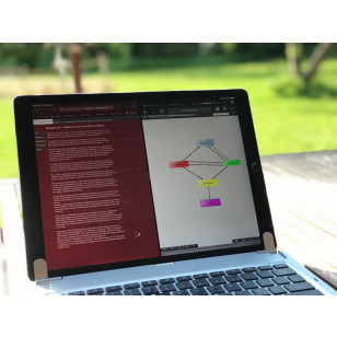 Virtual Workshop: Visualise and analyse complex challenges the easy way